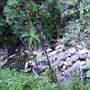 Whitsundays - Finch Hatton Gorge