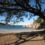 Florence Bay (Magnetic Island)