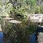 Warwick Region - Girraween National Park