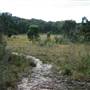 Warwick Region - Girraween National Park