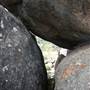 Warwick Region - Girraween National Park