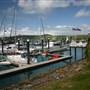 Hamilton Island Marina