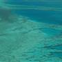 Hardy Reef