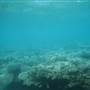 Hardy Reef