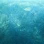 Hardy Reef