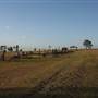Harrisville Cemetery