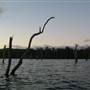 Lake Tinaroo