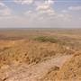 Longreach Landscape
