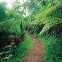 Main Range National Park