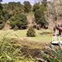 Maleny Manor