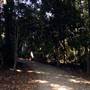 Mary Cairncross Scenic Reserve and Sanctuary