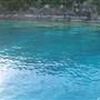 Maureens Cove (Hook Island)