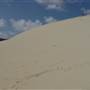 Mulgumpin (Moreton Island) - The Desert
