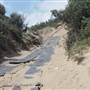 Mulgumpin (Moreton Island)
