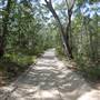 Mulgumpin (Moreton Island)