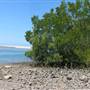 Mossman River Mouth