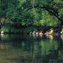 Mossman Gorge