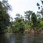 Mulgrave River (Cairns Region)
