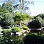 Japanese Garden, Mt Coot-tha Botanical Gardens