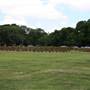 New Farm Park