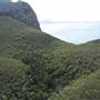 Pentecost Island