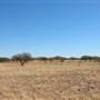 Rangelands Station