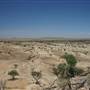 Rangelands Station