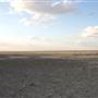 Rangelands Station