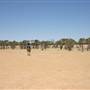 Rangelands Station