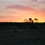 Rangelands Station