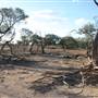 Rangelands Station