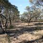 Rangelands Station