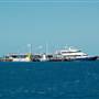 Hardy Reef (Reefworld Plantoon)