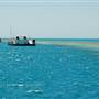 Hardy Reef (Reefworld Plantoon)