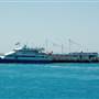 Hardy Reef (Reefworld Plantoon)