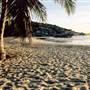 Rose Bay (Bowen)