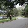 Gold Coast Regional Botanic Gardens - Rosser Park