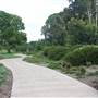 Gold Coast Regional Botanic Gardens - Rosser Park