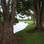 Gold Coast Regional Botanic Gardens - Rosser Park