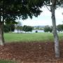 Gold Coast Regional Botanic Gardens - Rosser Park