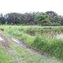 Gold Coast Regional Botanic Gardens - Rosser Park