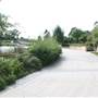 Gold Coast Regional Botanic Gardens - Rosser Park