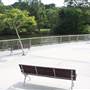 Gold Coast Regional Botanic Gardens - Rosser Park