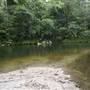 Silky Oaks Lodge - Mossman