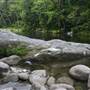 Silky Oaks Lodge - Mossman