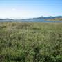 Somerset Dam
