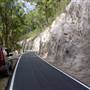 Springbrook National Park