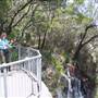 Springbrook National Park