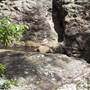 Springbrook National Park