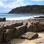 Noosa - Tea Tree Beach Area